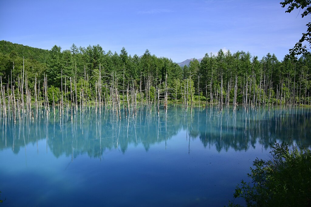 Shirogane Blue Pond, Biei, Hokkaido Japan
