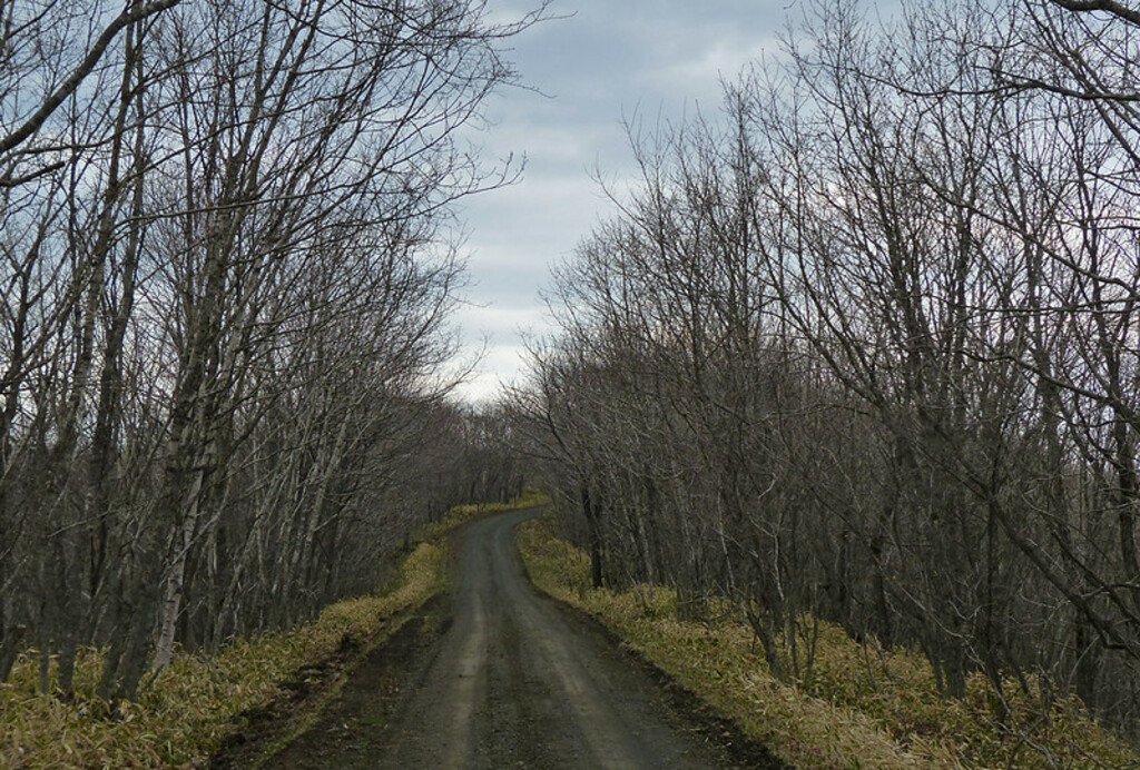 Kushiro-shitsugen