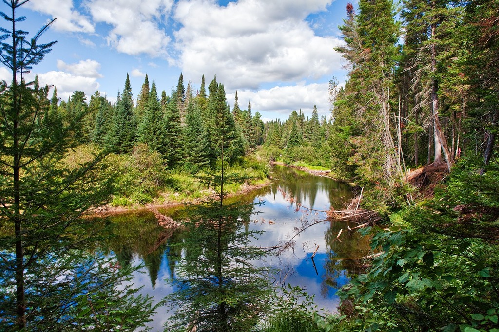 Algonquin Park