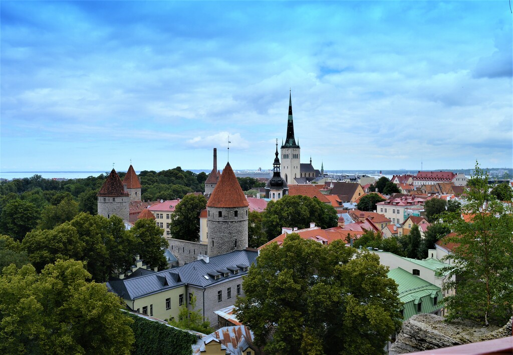 things to do in tallinn | viewing platforms