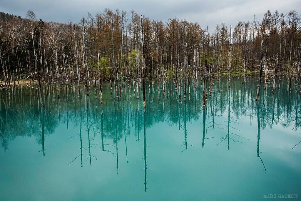 beautiful places in japan | the blue pond, hokkaido
