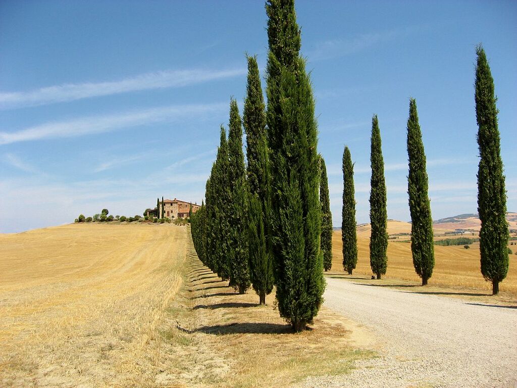 Val-d'Orcia-landscape-1