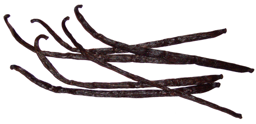 Vanilla 6beans (rot. 90 deg.)