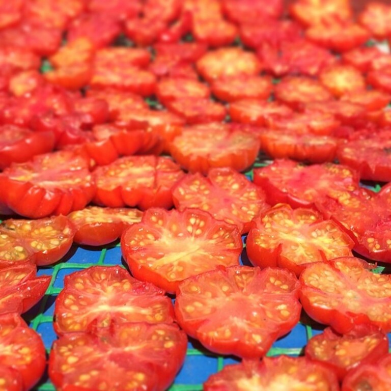 Santorini sun dried tomatoes in progress.