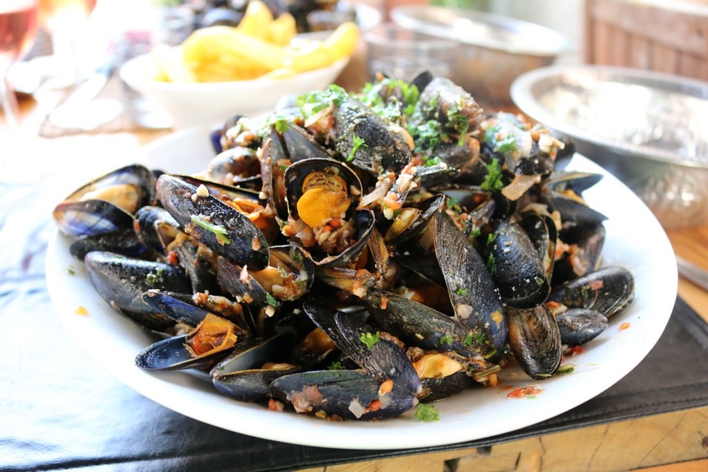Seafood 