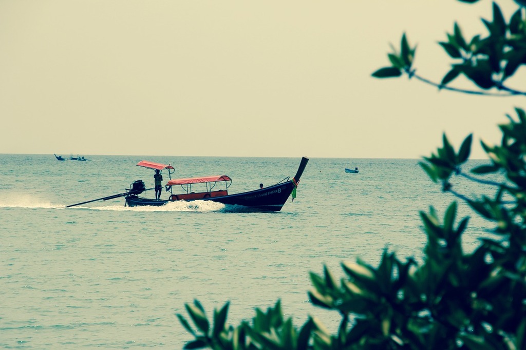 Fishing 