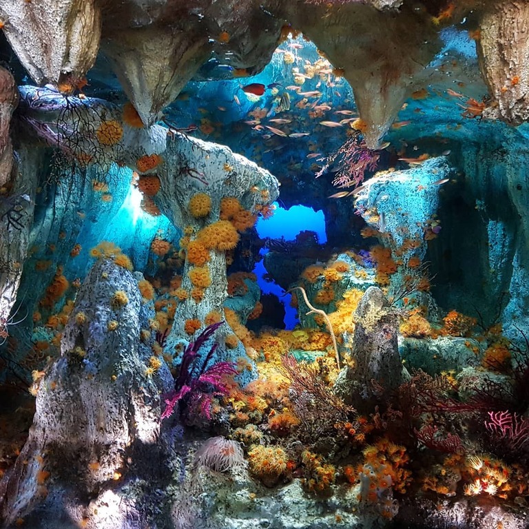 things to do in tokyo for kids | visit the sunshine city aquarium