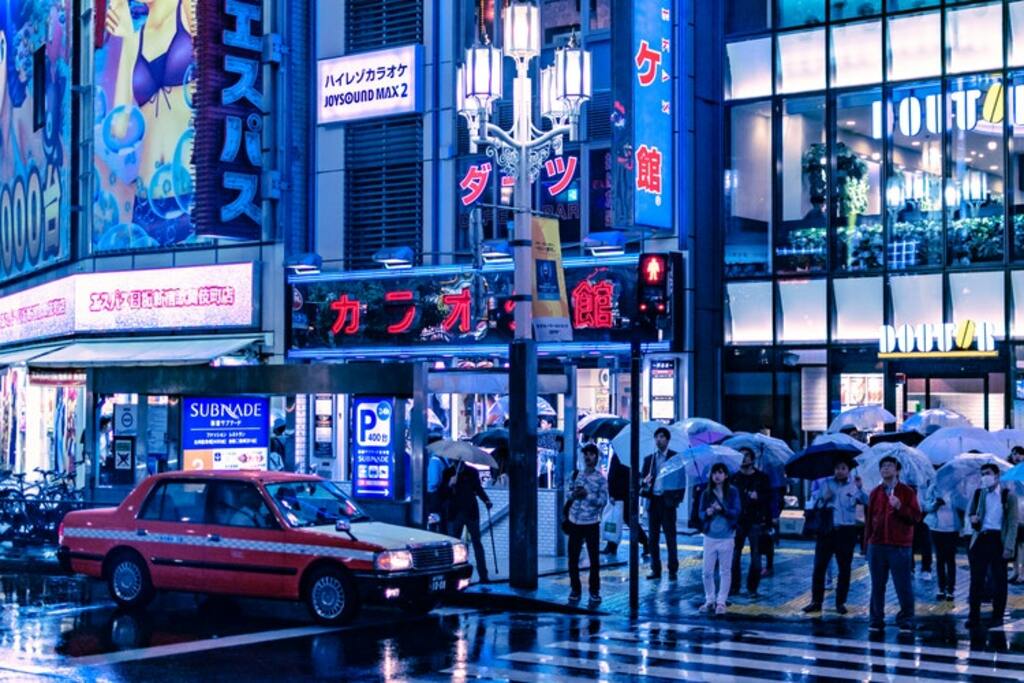 Night Lights 
