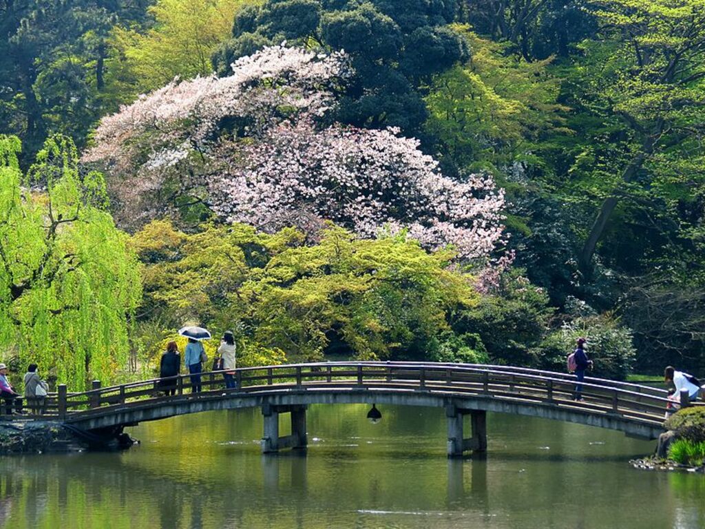 Shinjuku Gyoen (16003390508)