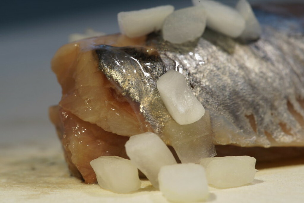 Hollandse Nieuwe / Dutch brined herring