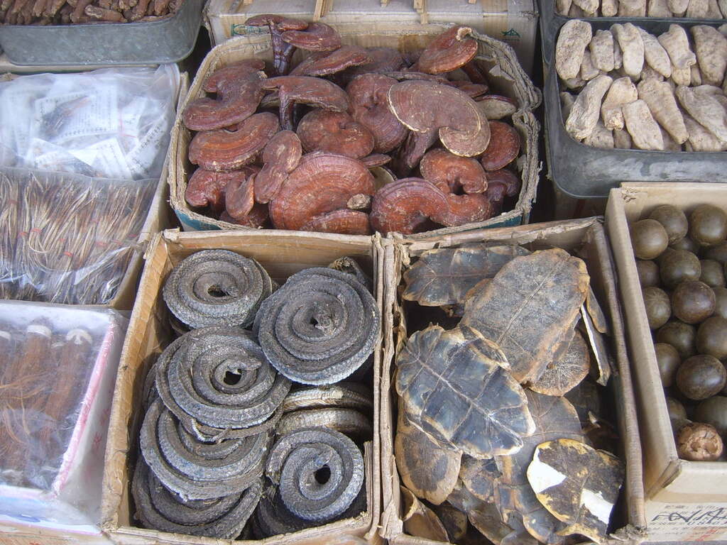 Que ramener de Chine nos 8 souvenirs à mettre dans votre valise Trip101