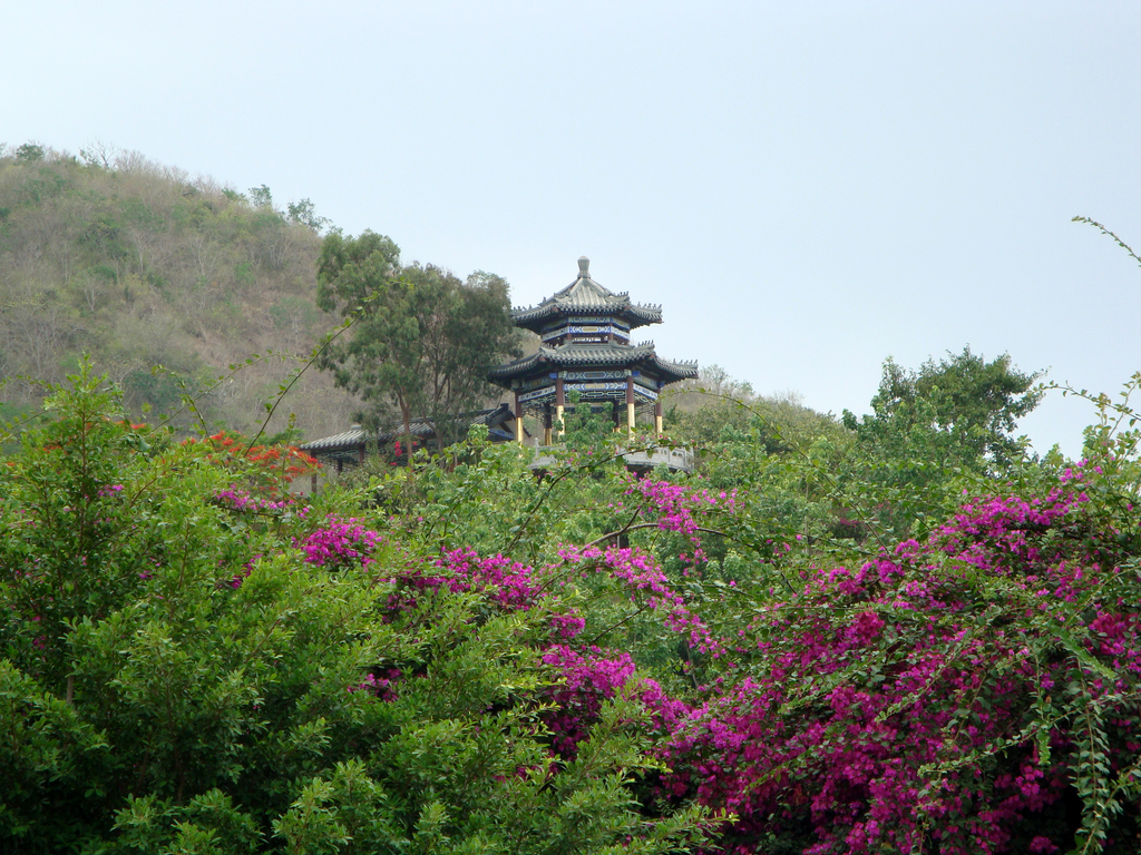 Nanshan Park 111
