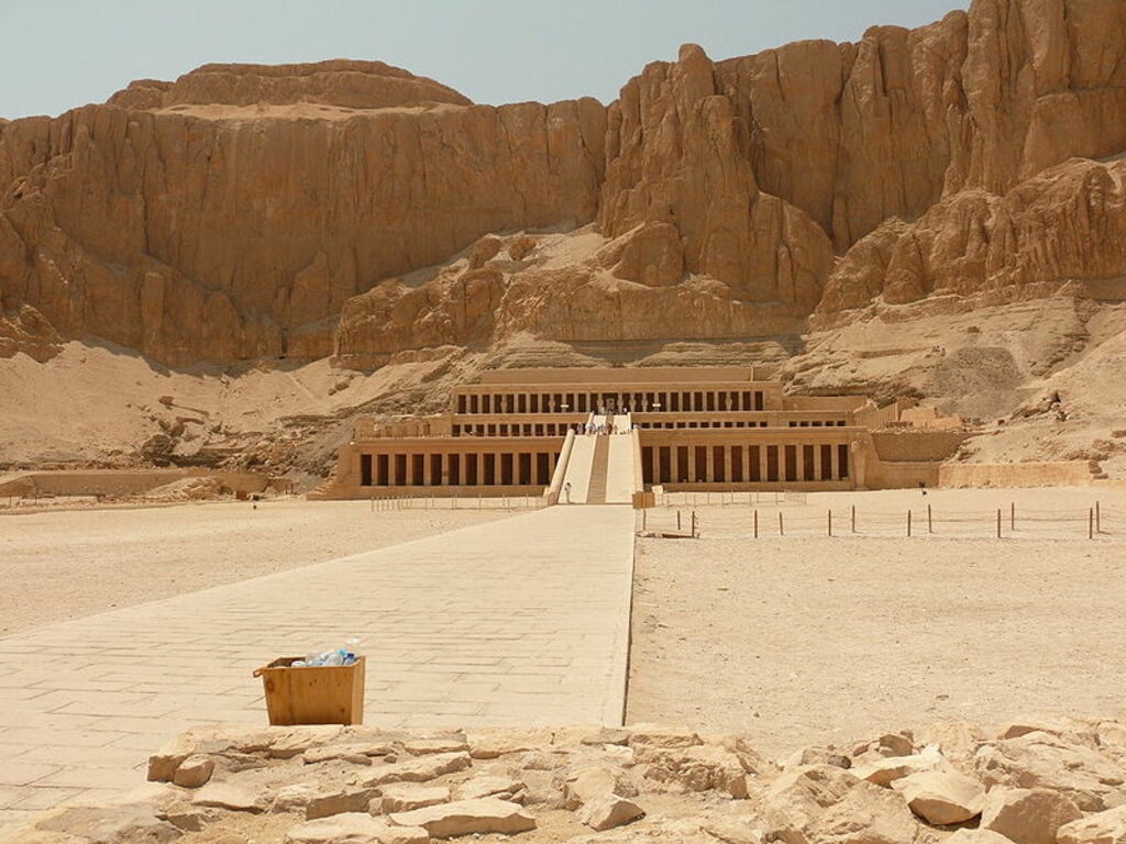 Alig Deir el Bahari 314