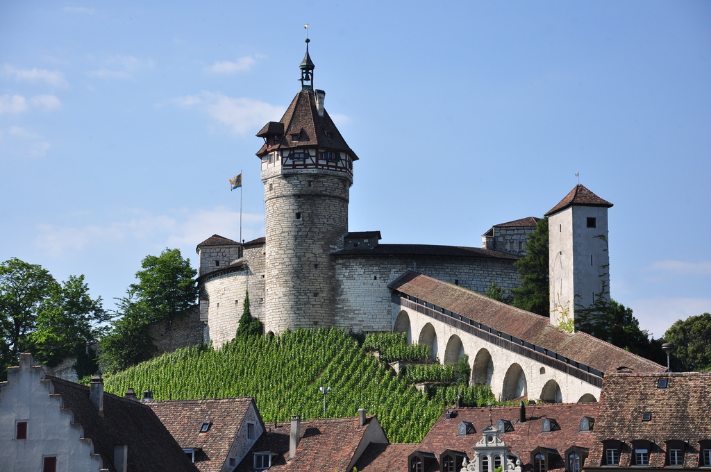 Schaffhausen - Munot - Feuerthalen IMG 9843