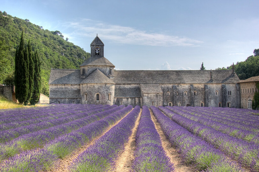Abbaye de Sénanque