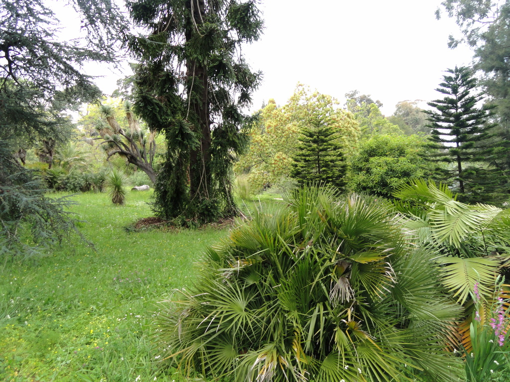 General view - Villa Thuret - DSC04804