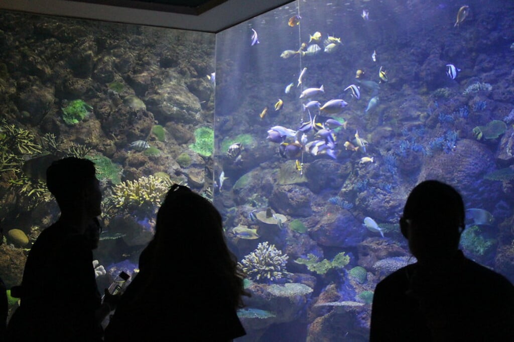 National Museum of Marine Biology and Aquarium