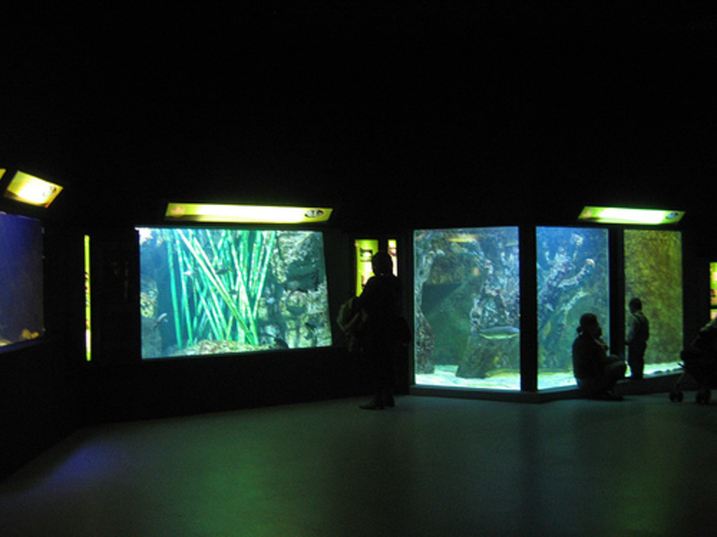 Lyon-aquarium-globalview
