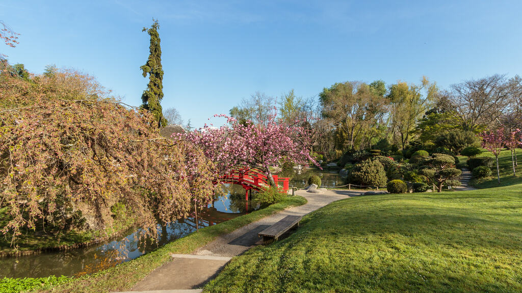 Japanese Garden In Toulouse