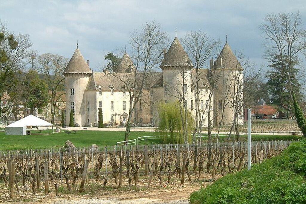 Chateau-savigny-lès-beaune1