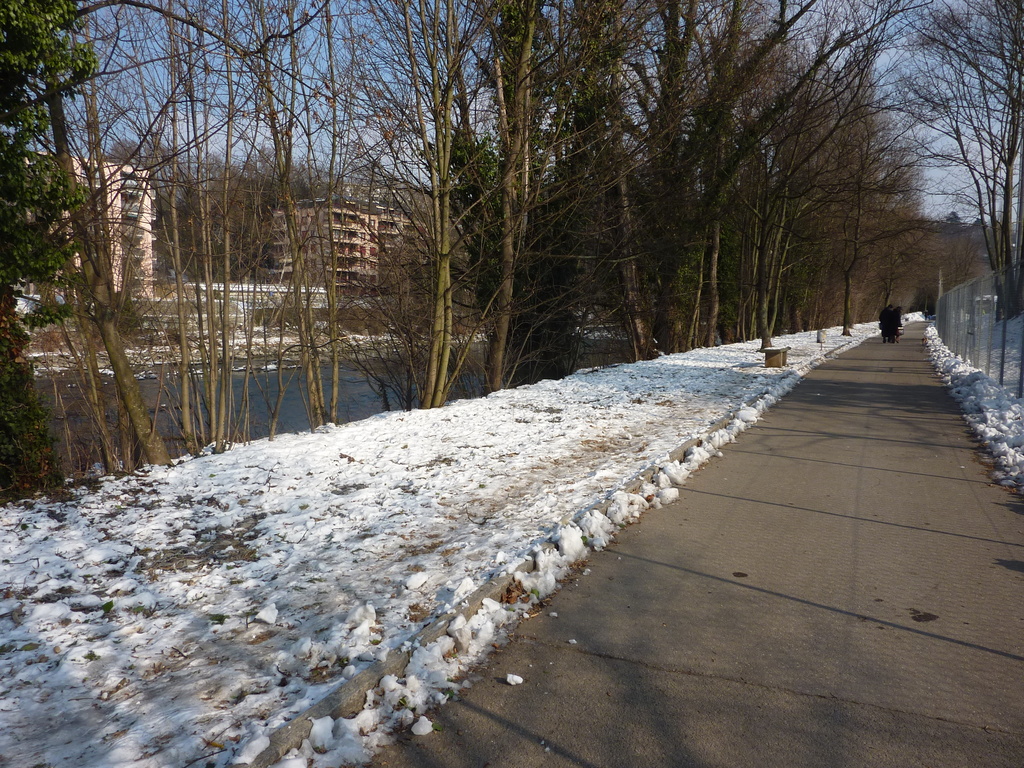 Arve river geneva-201202-erd2