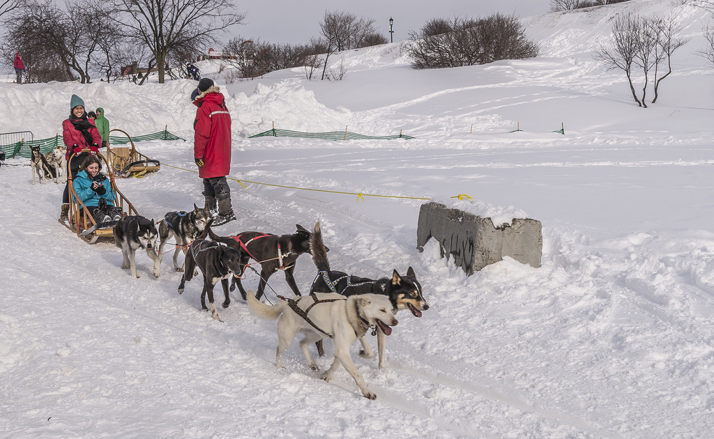 Le 60e Carnaval de Québec (12665469423)