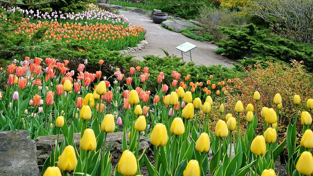 Royal Botanical Gardens (8731181017)