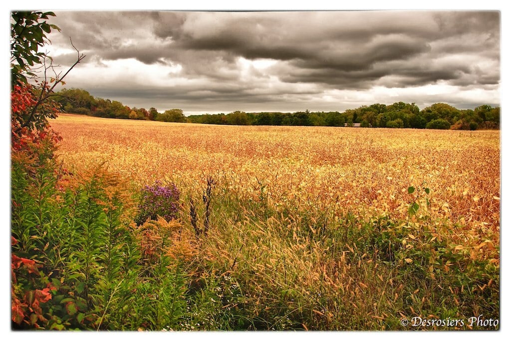 Woodend Conservation Area 