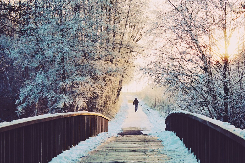 explorez alberta par une marche sur glace