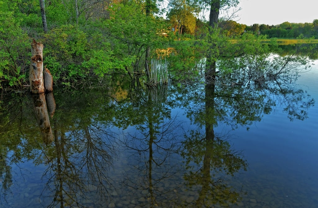 Rattray Marsh Conservation Area7