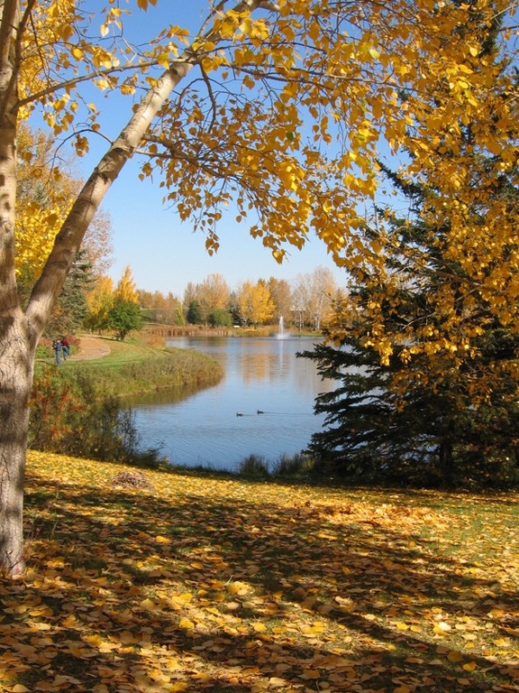 Autumn at Bower Ponds