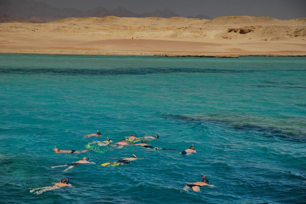 Group Snorkel Ras Mohammed - panoramio
