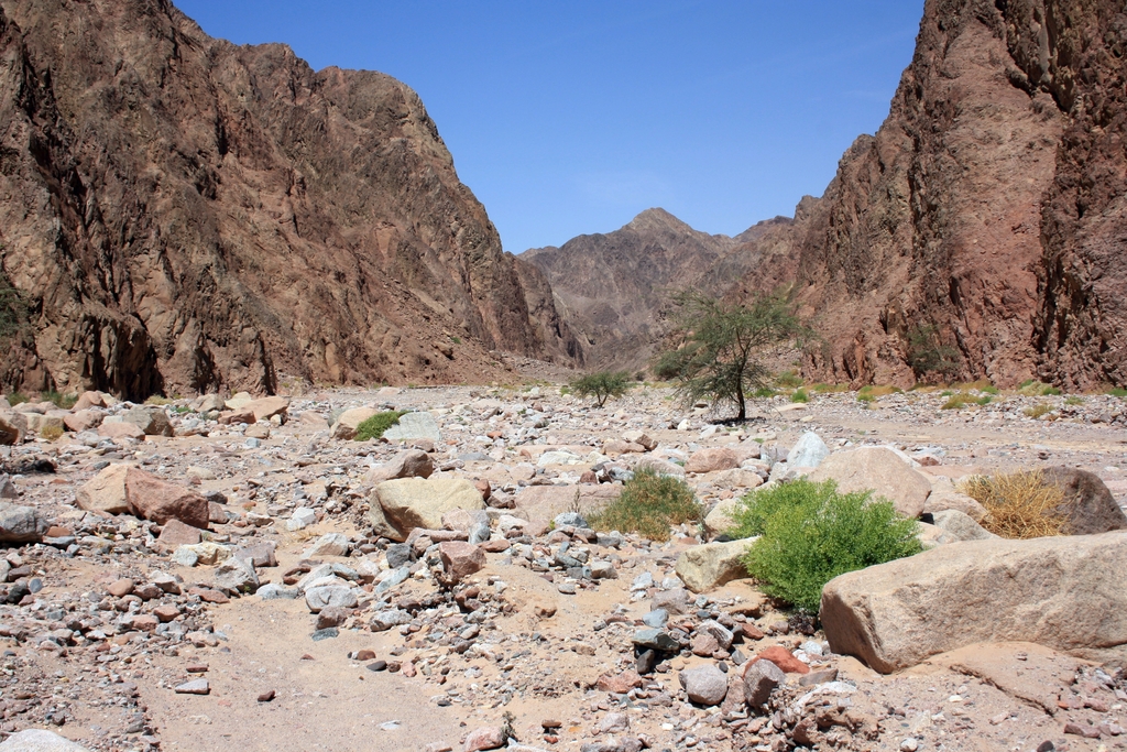 Wadi Wishwashi