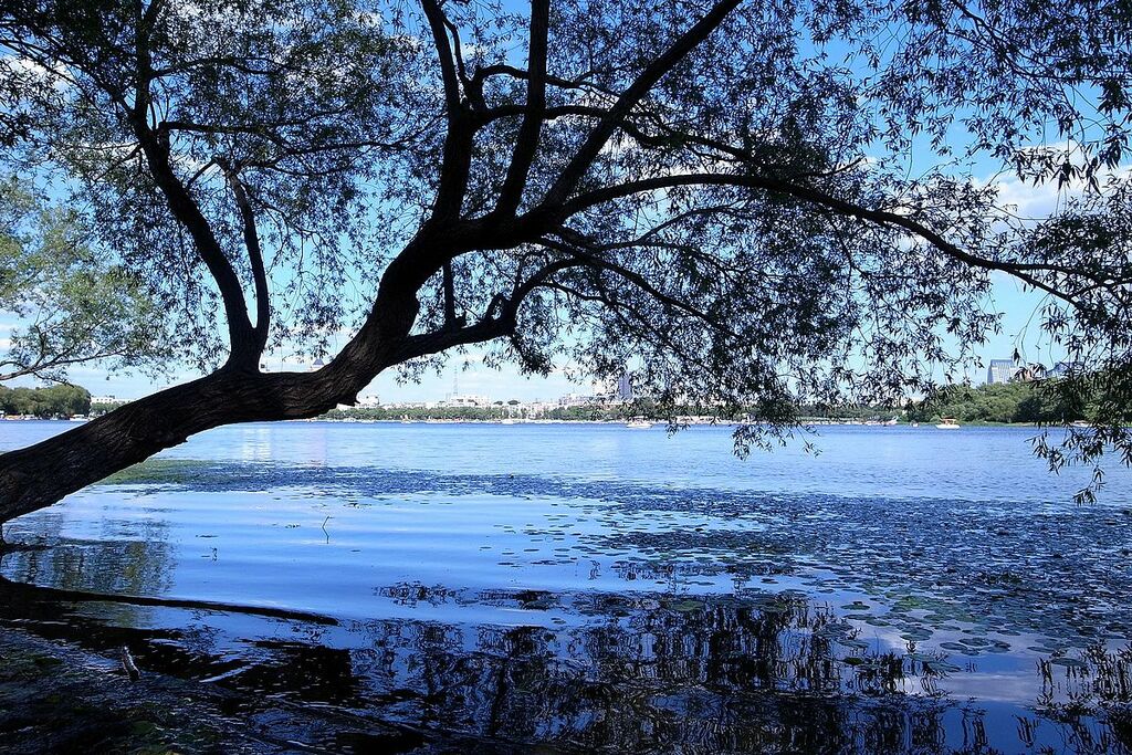 Nanhu Lake park - panoramio
