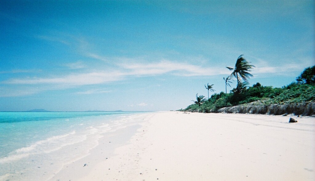 PamalicanNorthShore