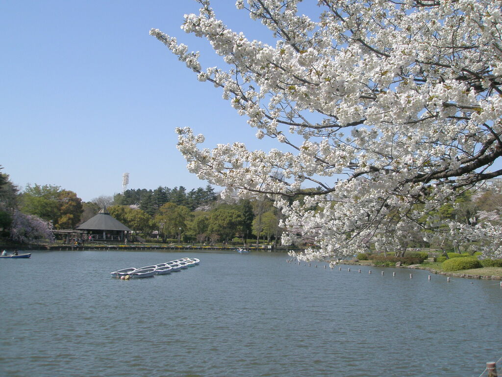 Chiba Park, Watauchi-ike2