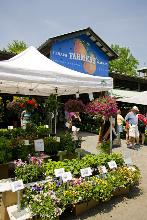 Ithaca Farmers Market Credit Kristian Reynolds