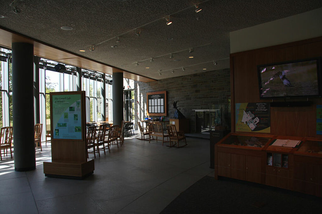 Cornell Lab of Ornithology interior