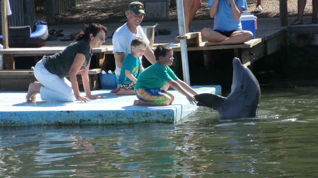 Dolphin-Research-Center @ Florida-Key's