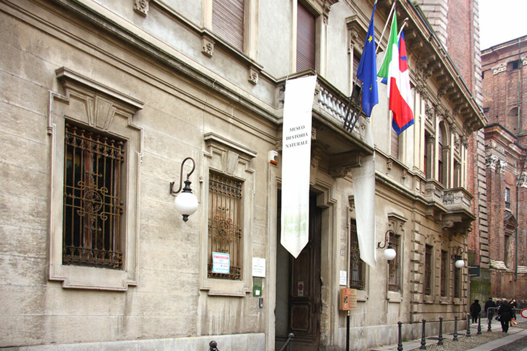 Novara MuseoFaraggiana