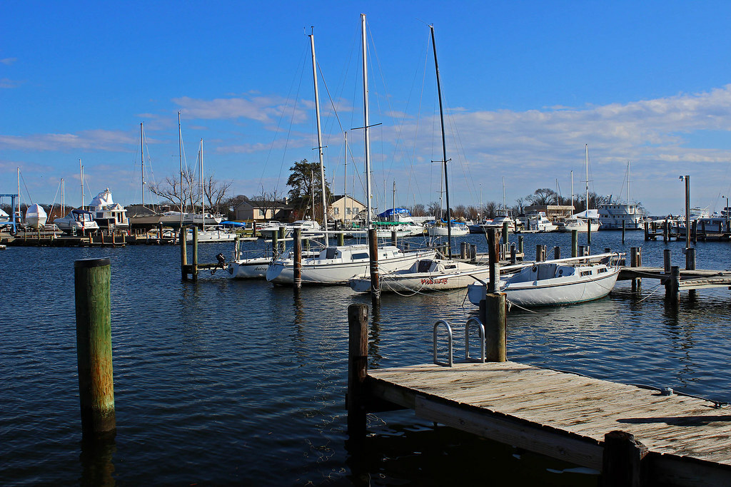 solomon's island docks