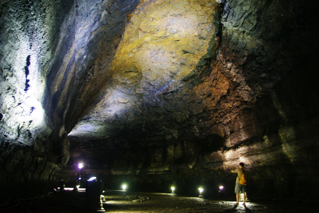 Journey Into the Cave