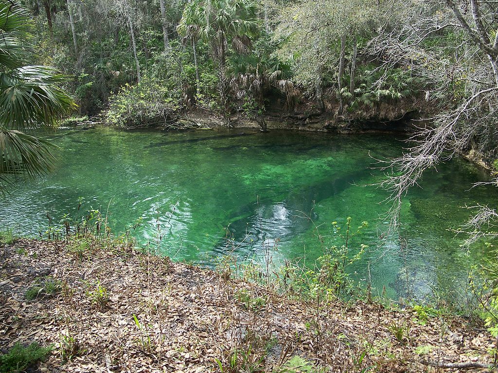 Blue Spring State Park boil01