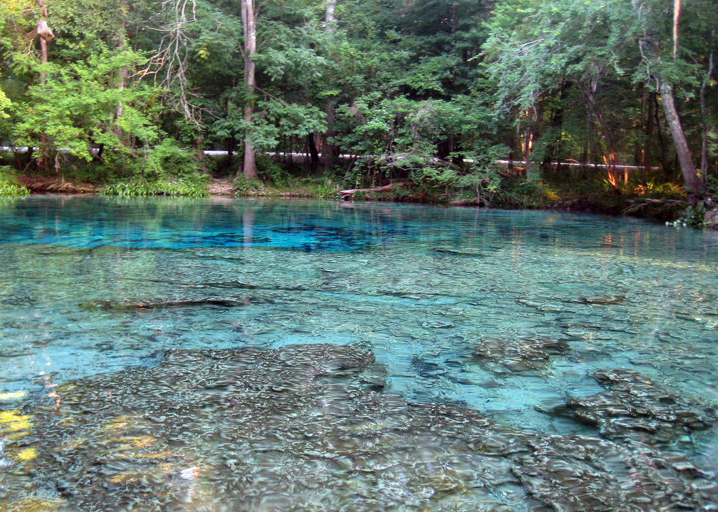 Ginnie Springs