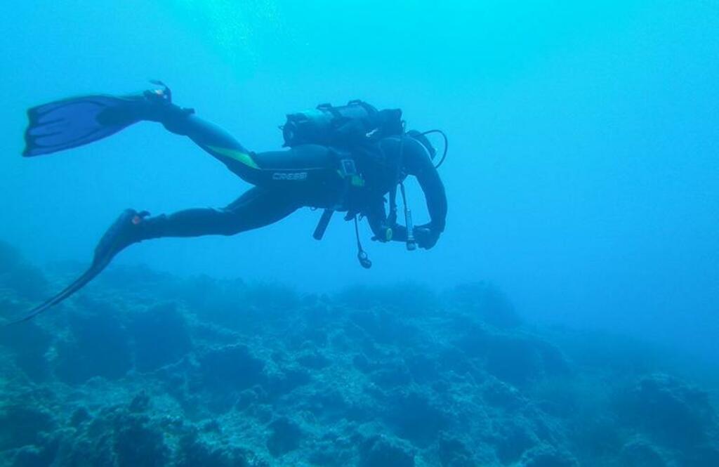 escapade grecque: les 10 meilleures choses à faire à zakynthos, grèce | plongée sous-marine