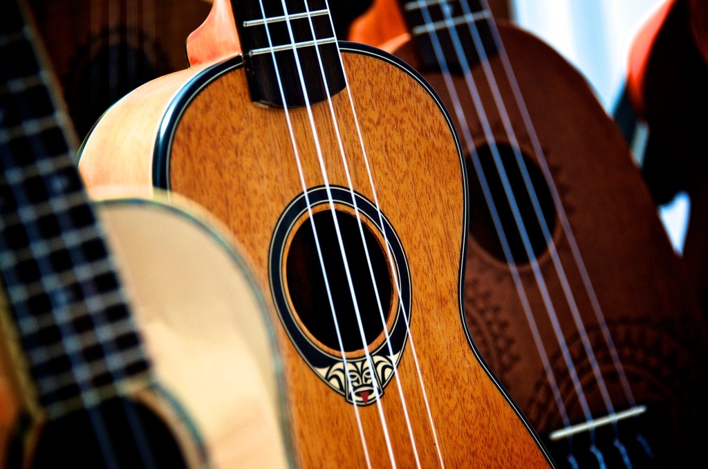 Ukulele Close Up