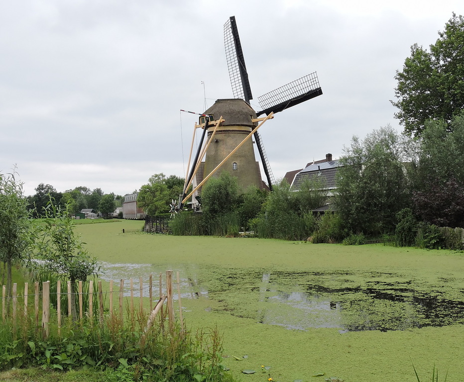 Dutch windmills (1) (16546348697)