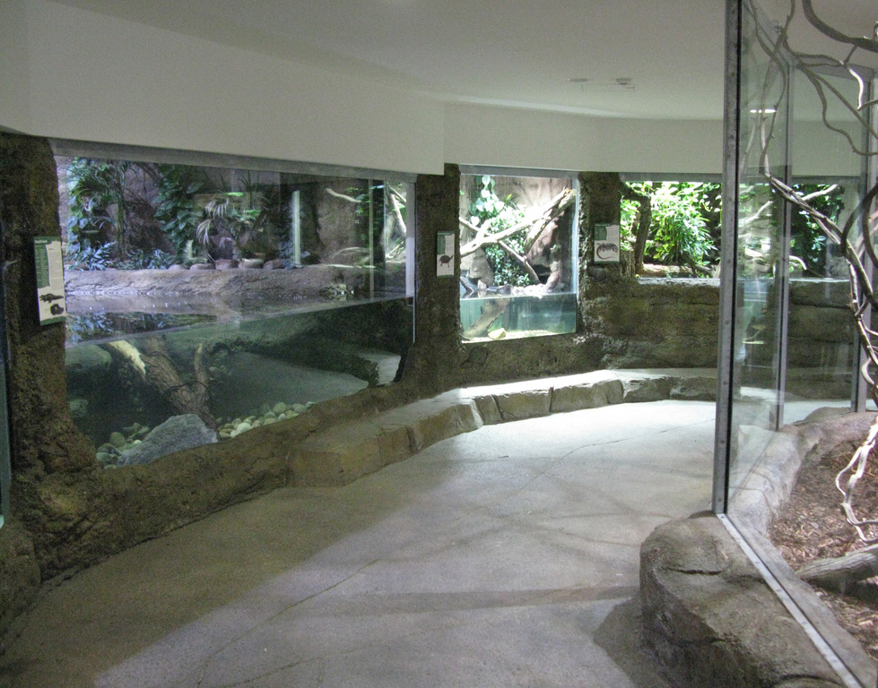 Exotenhaus im ehemaligen Tullabad im Karlsruher Zoo 8