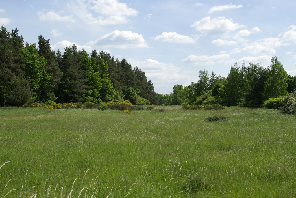 Naturschutzgebiet Hainberg Mittelfranken 002