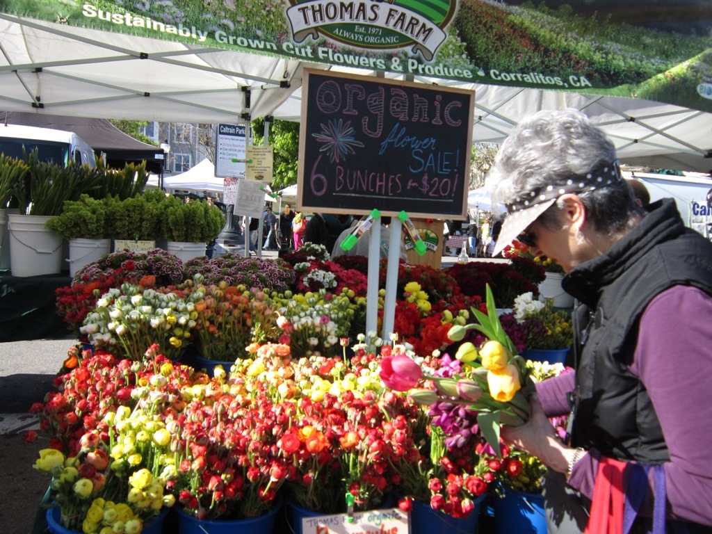 Mountain View farmer's market